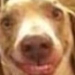 Meet your Posher, Brooklyn